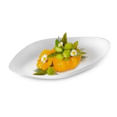ASSIETTE COOKPLAY 240
