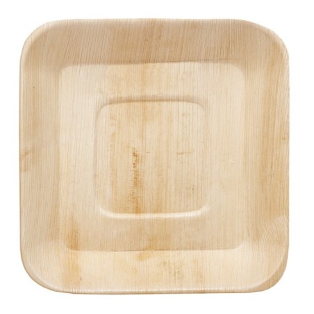 ASSIETTE EKOPALM 170