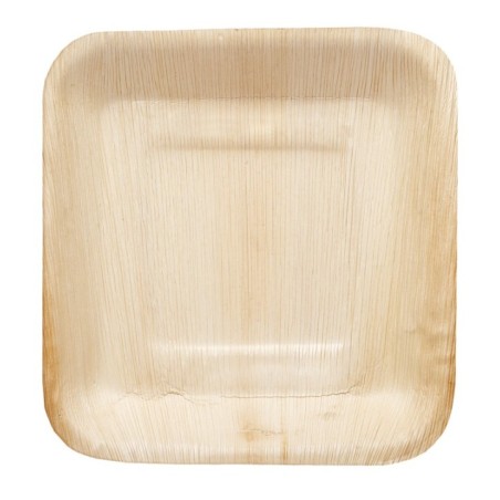 ASSIETTE EKOPALM 240