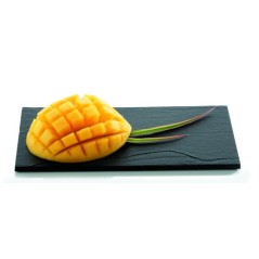 MINI PLATEAU TEXTURA