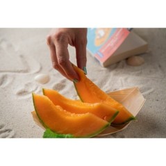 BARQUETTE PIROGUE 210