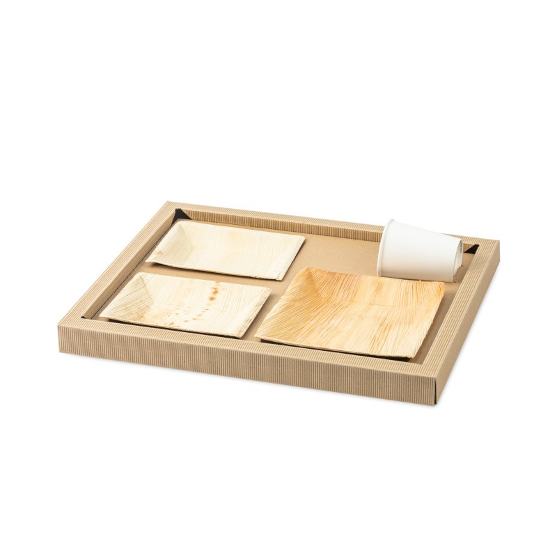 PLATEAU BIODINE VERSION B + COUVERCLE CARTON NOIR