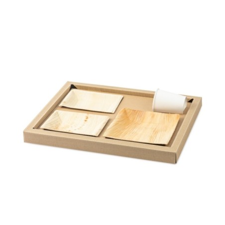 PLATEAU BIODINE VERSION B + COUVERCLE CARTON NOIR