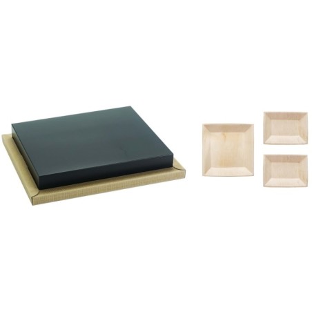 PLATEAU BIODINE VERSION B + COUVERCLE CARTON NOIR