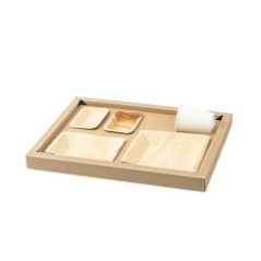 PLATEAU BIODINE VERSION A + COUVERCLE CARTON NOIR