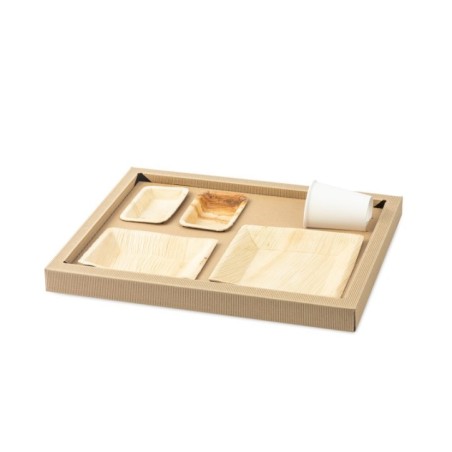 PLATEAU BIODINE VERSION A + COUVERCLE CARTON NOIR