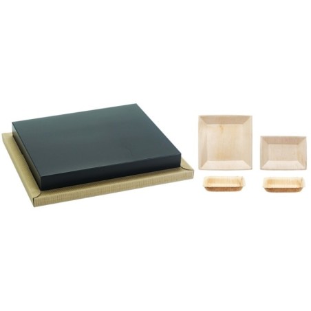 PLATEAU BIODINE VERSION A + COUVERCLE CARTON NOIR