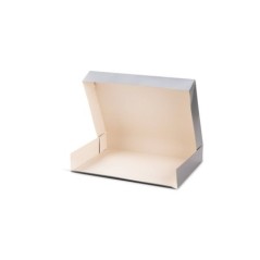 COFFRET TRAITEUR ATLAS 1/1 ARGENT