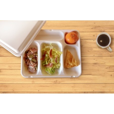 PLATEAU SNACK FIBRA 5 ALVÉOLES