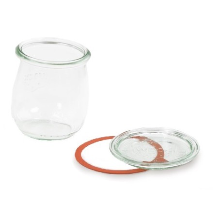 KIT BOKO TULP 22CL (BOCAL + COUVERLE + JOINT)