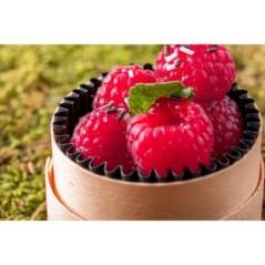 WOODBOX 5CL (FOND + CAISSETTE NOIRE + COUVERCLE)