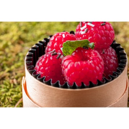 WOODBOX 5CL (FOND + CAISSETTE NOIRE + COUVERCLE)