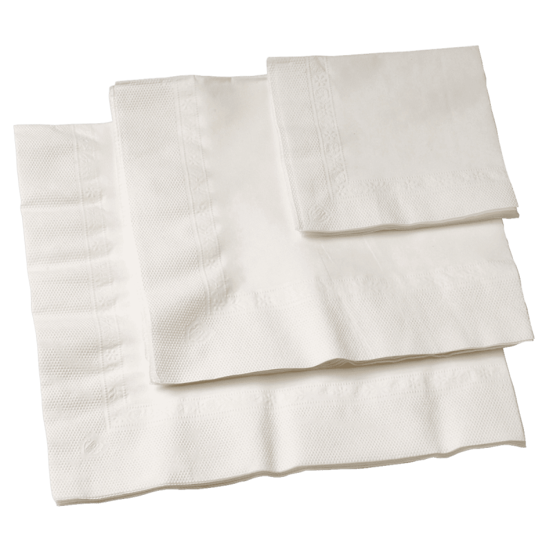Serviette blanche Eco 2 plis 300x300 mm Serviette blanche Eco 2 plis 300x300 mm