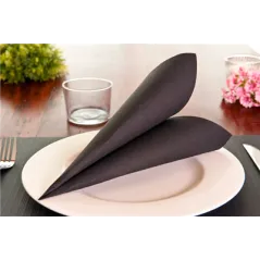 SERVIETTES ECOLABEL DOUBLE POINT 18 G/M2 39x39 CM NOIR OUATE (1200 UNITÉ)