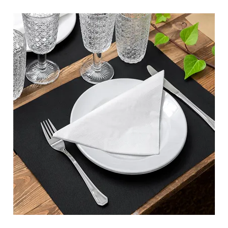 SERVIETTES ECOLABEL 2 PLIS  18 G/M2 33x33 CM BLANC OUATE (2400 UNITÉ)