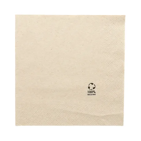 SERVIETTES ECOLABEL 2 PLIS