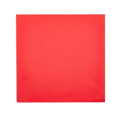 SERVIETTES ECOLABEL 2 PLIS