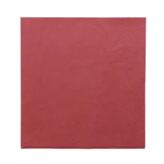 SERVIETTES ECOLABEL 2 PLIS