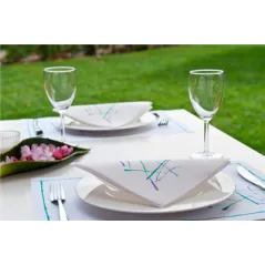 SETS DE TABLE 'VOLARE' 48 G/M2 35x50 CM BLANC CELLULOSE (2000 UNITÉ)
