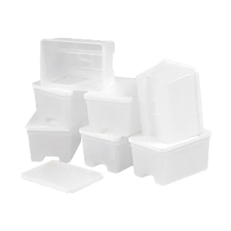 BARQUETTES + COUVERCLES  220 ML 9x6,5x5 CM TRANSLUCIDE PP (240 UNITÉ)