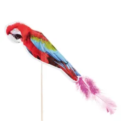 DÉCORS POUR GLACES - PERROQUETS
