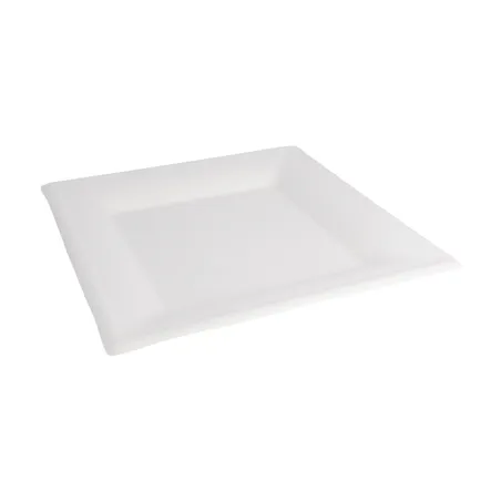 ASSIETTES CARRÉES