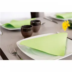 SERVIETTES ECOLABEL DOUBLE POINT  18 G/M2 39x39 CM VERT ANIS OUATE (1200 UNITÉ)