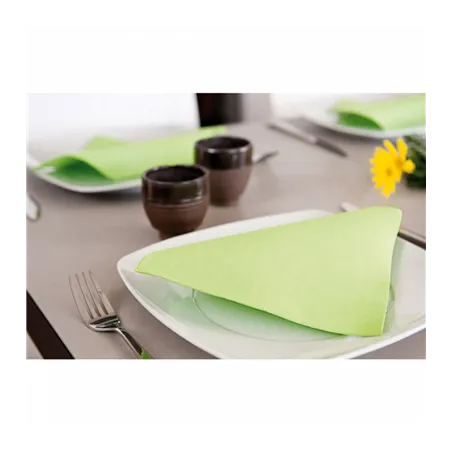 SERVIETTES ECOLABEL DOUBLE POINT  18 G/M2 39x39 CM VERT ANIS OUATE (1200 UNITÉ)