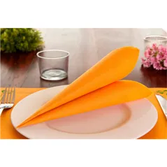 SERVIETTES ECOLABEL DOUBLE POINT  18 G/M2 39x39 CM CLEMENTINE OUATE (1200 UNITÉ)