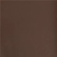 NAPPE EN ROULEAU  55 G/M2 1,20x50 M CHOCOLAT AIRLAID (1 UNITÉ)