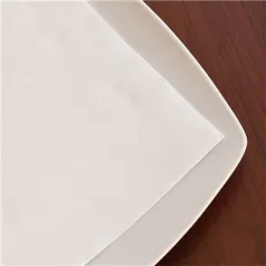 SERVIETTES DOUBLE POINT  18 G/M2 20x20 CM BLANC OUATE (2400 UNITÉ)