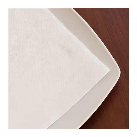 SERVIETTES DOUBLE POINT  18 G/M2 20x20 CM BLANC OUATE (2400 UNITÉ)