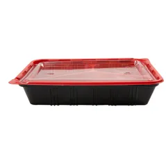 BARQUETTES MICRO-ONDABLE INDIVIDUEL   22,5x18x4,5 CM NOIR PP (400 UNITÉ)