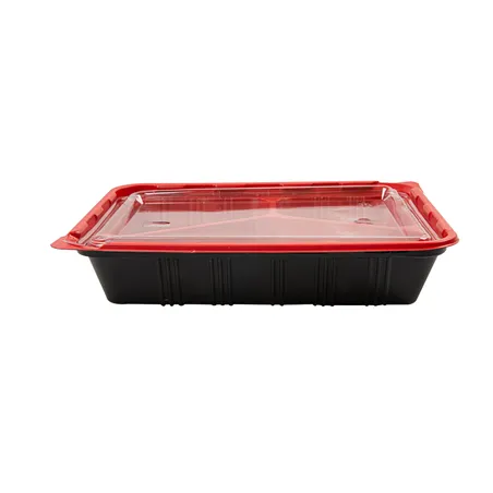 BARQUETTES MICRO-ONDABLE INDIVIDUEL   22,5x18x4,5 CM NOIR PP (400 UNITÉ)