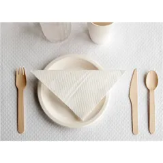 ASSIETTES BIONIC  Ø 18x1,8 CM NATUREL BAGASSE (1000 UNITÉ)