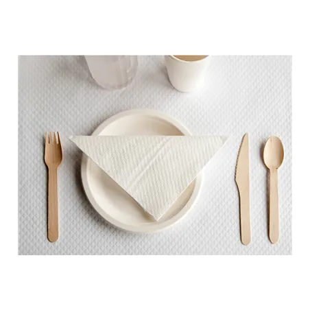 ASSIETTES BIONIC  Ø 18x1,8 CM NATUREL BAGASSE (1000 UNITÉ)
