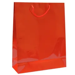 SAC BOUTIQUE ANSES CORDON