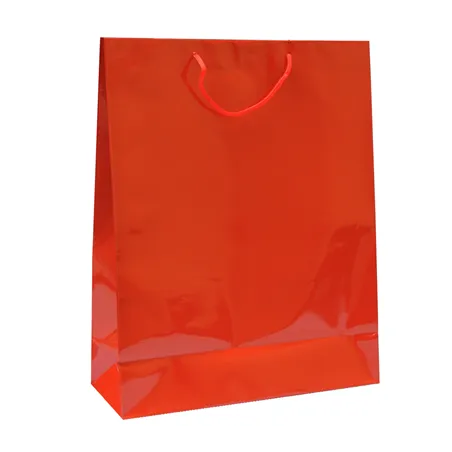 SAC BOUTIQUE ANSES CORDON
