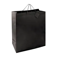 SAC BOUTIQUE ANSES CORDON