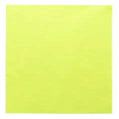 SERVIETTES ECOLABEL 2 PLIS