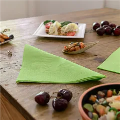 SERVIETTES ECOLABEL 2 PLIS  18 G/M2 39x39 CM VERT ANIS OUATE (1600 UNITÉ)