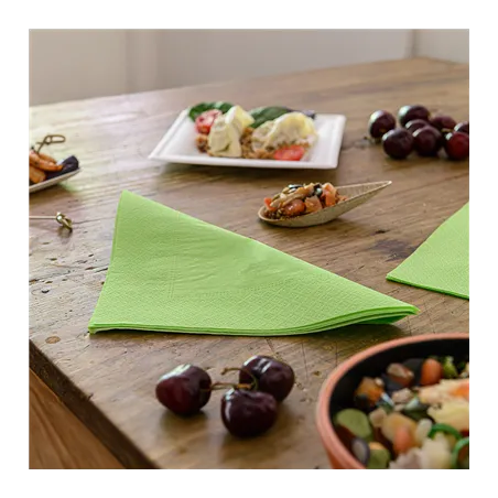SERVIETTES ECOLABEL 2 PLIS  18 G/M2 39x39 CM VERT ANIS OUATE (1600 UNITÉ)