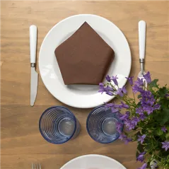 SERVIETTES ECOLABEL 2 PLIS  18 G/M2 39x39 CM CHOCOLAT OUATE (1600 UNITÉ)