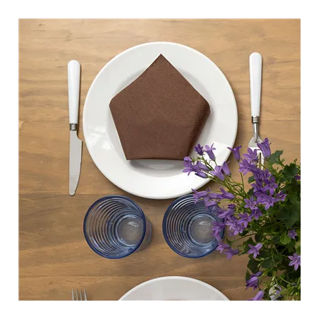 SERVIETTES ECOLABEL 2 PLIS  18 G/M2 39x39 CM CHOCOLAT OUATE (1600 UNITÉ)