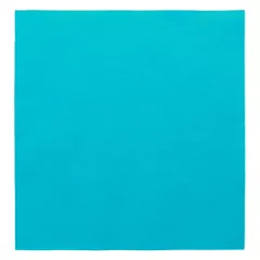 SERVIETTES ECOLABEL 2 PLIS