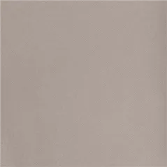 "TÊTE-À-TÊTE" PRÉ. 120CM (20 FEU.) 55 G/M2 0,40x24 M GRIS AIRLAID (6 UNITÉ)