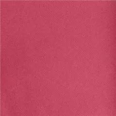 "TÊTE-À-TÊTE" PRÉ. 120CM (20 FEU.) 55 G/M2 0,40x24 M FUCHSIA AIRLAID (6 UNITÉ)