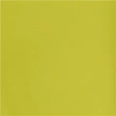 NAPPE EN ROULEAU  55 G/M2 1,20x50 M KIWI AIRLAID (1 UNITÉ)