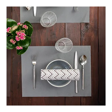 SETS DE TABLE SPUNBOND  60 G/M2 30x40 CM GRIS PP (800 UNITÉ)
