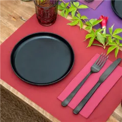 SETS DE TABLE SPUNBOND 60 G/M2 30x40 CM ROUGE PP (800 UNITÉ)